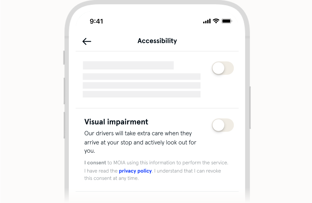 VisualImpairment_en.png
